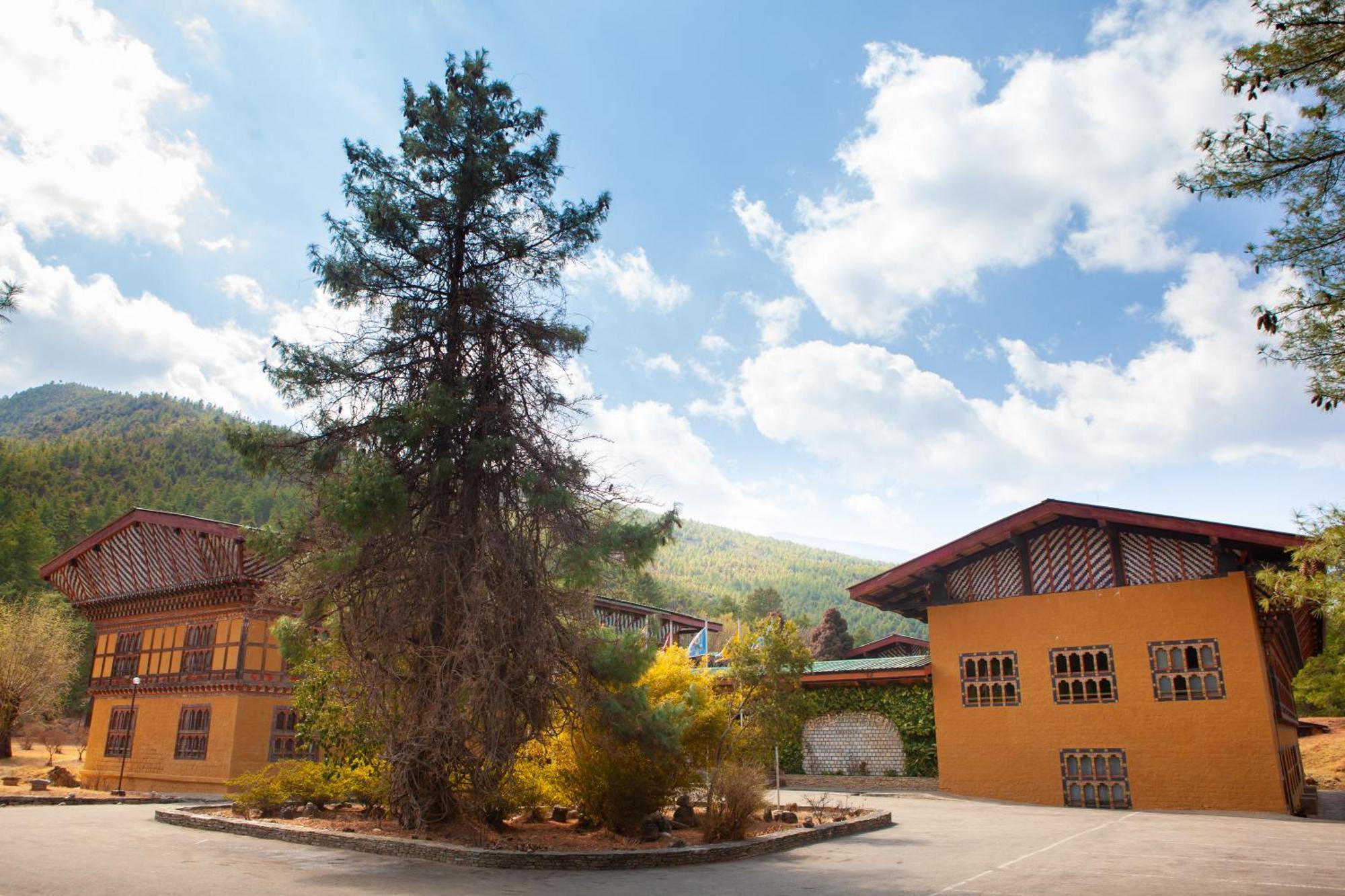 Hotel Olathang Paro Exteriör bild